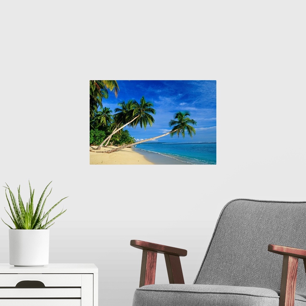 A modern room featuring A beautiful photograph of palm trees leaning over the beach with the ocean water breaking onto th...
