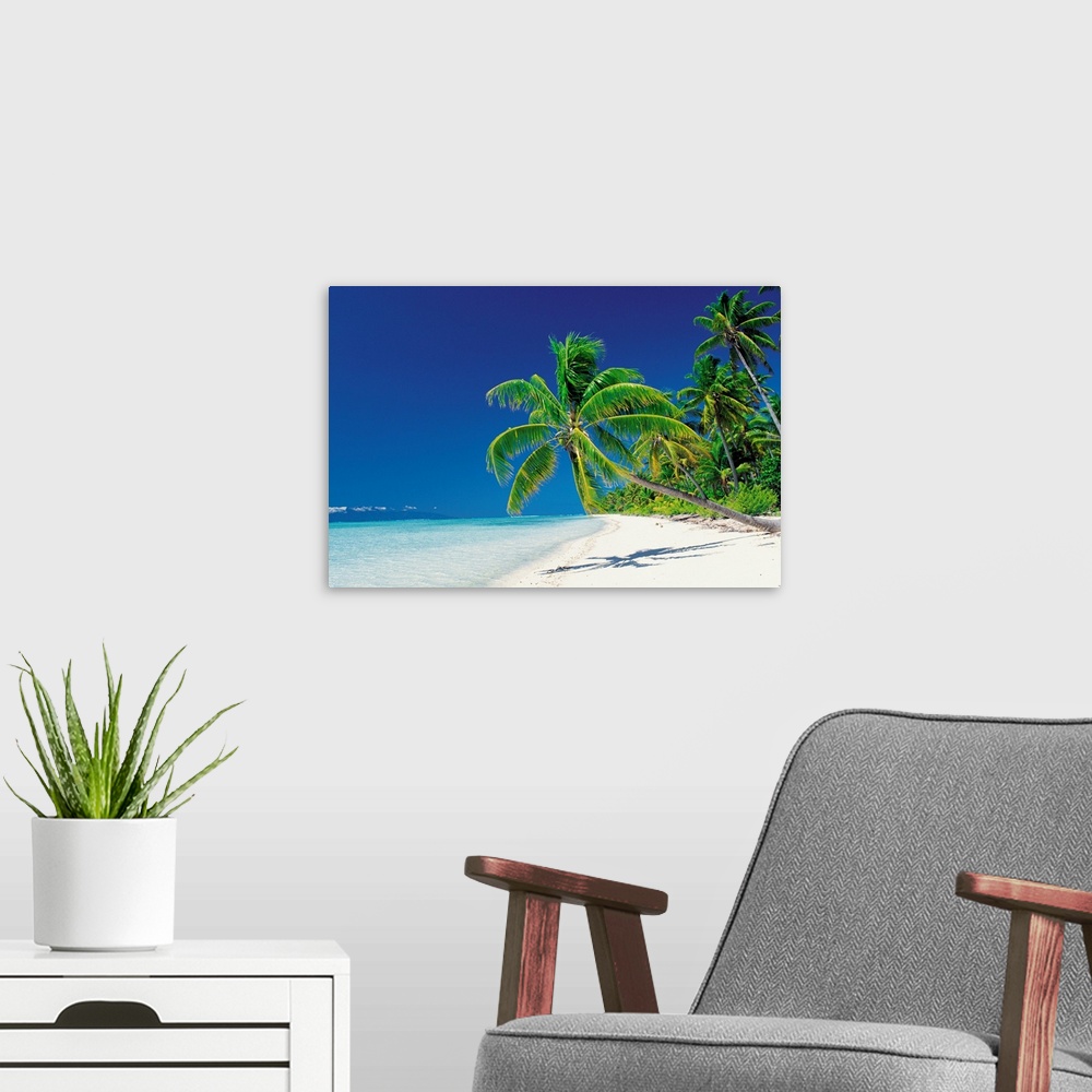A modern room featuring Large canvas print of palm trees leaning over a beach with clear water lapping ashore.