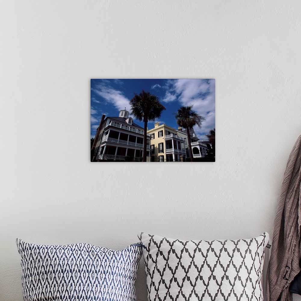 A bohemian room featuring Palm trees in front of buildings, Charleston, Charleston County, South Carolina,