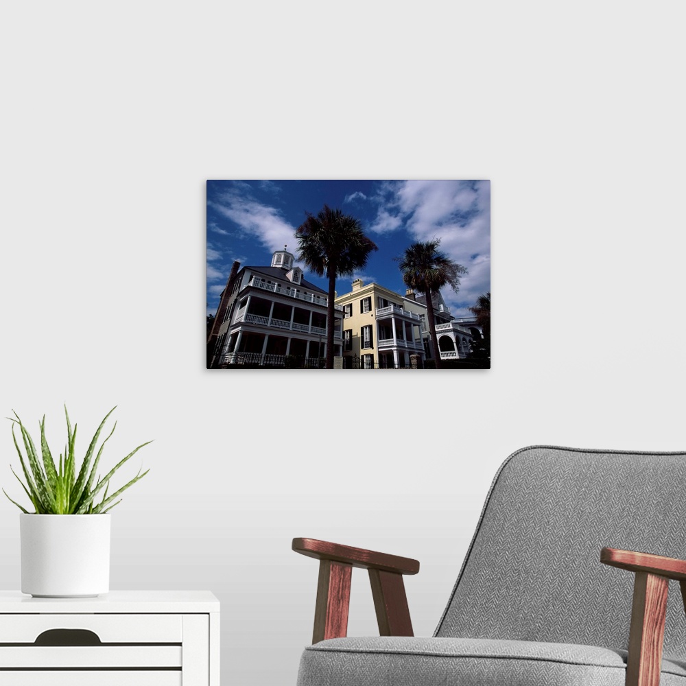 A modern room featuring Palm trees in front of buildings, Charleston, Charleston County, South Carolina,