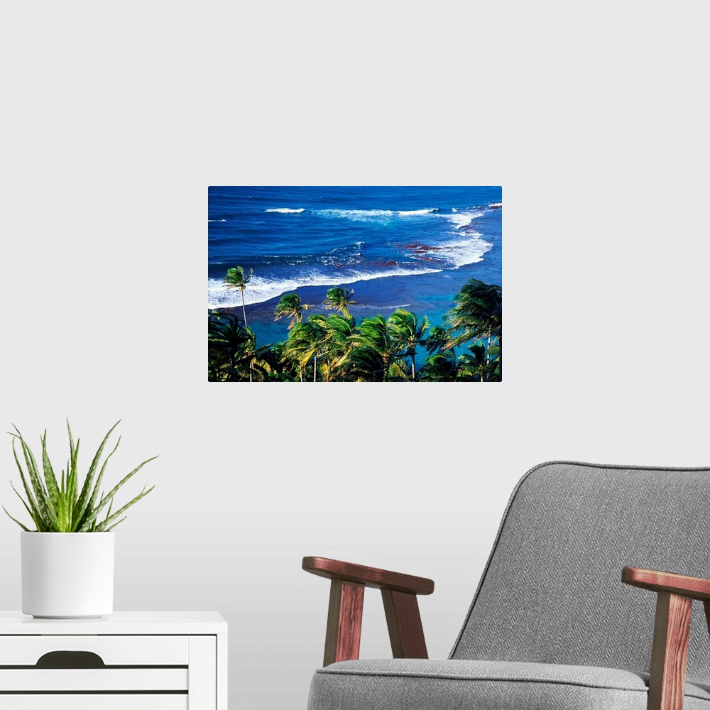 A modern room featuring Wall art for the home, office, or beach house this landscape photograph of fronds blowing in the ...