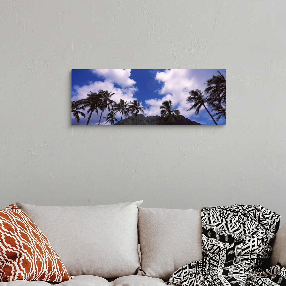 A bohemian room featuring Palm trees, Koolau Range, Hawaii