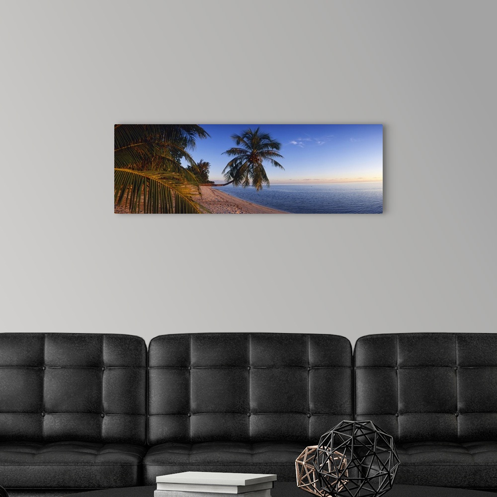 A modern room featuring Palm Trees Matira Beach Bora Bora
