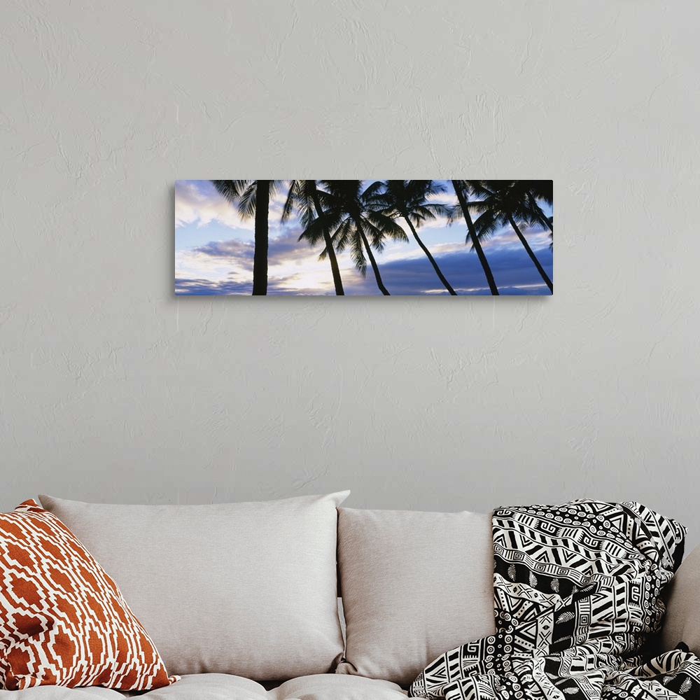 A bohemian room featuring Palm Trees Maui HI