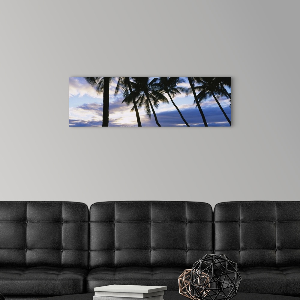 A modern room featuring Palm Trees Maui HI