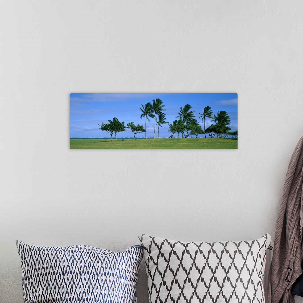 A bohemian room featuring Palm Trees Oahu HI