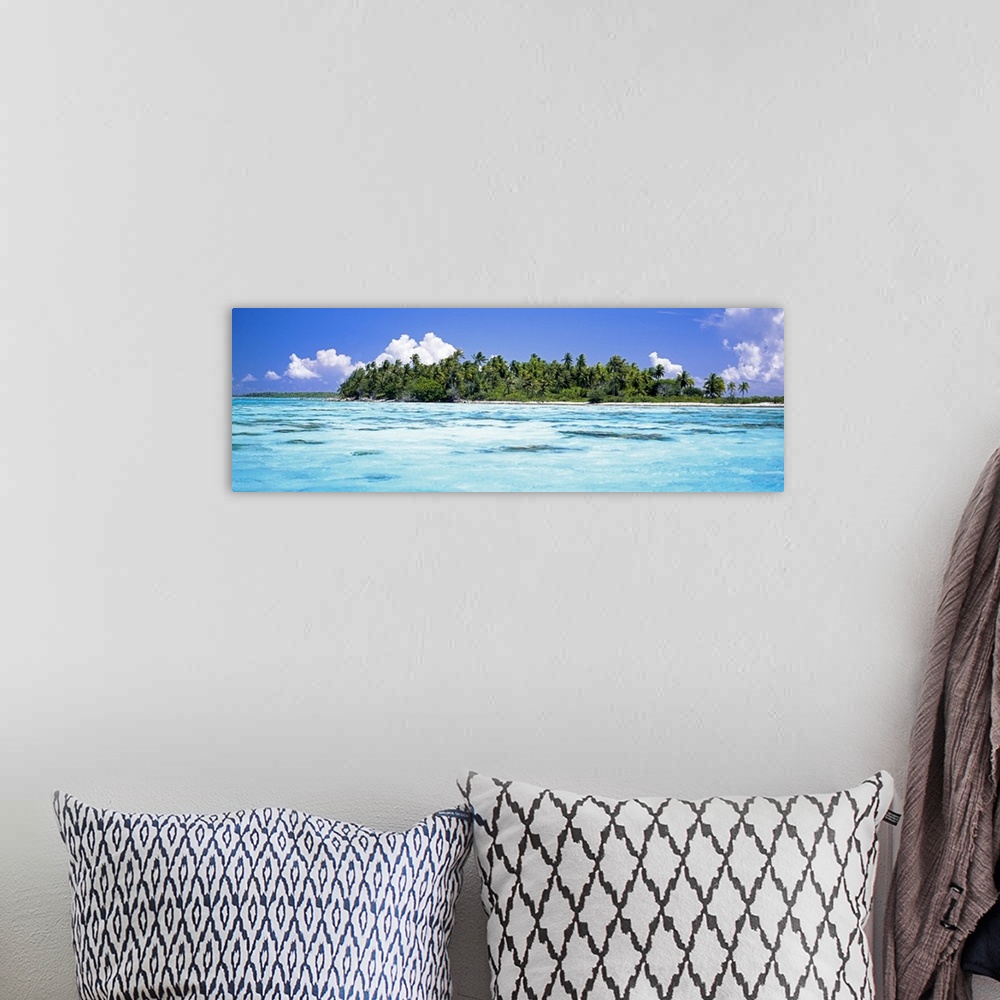 A bohemian room featuring Palm trees on an island, Tuamotu Archipelago, Tahiti, French Polynesia