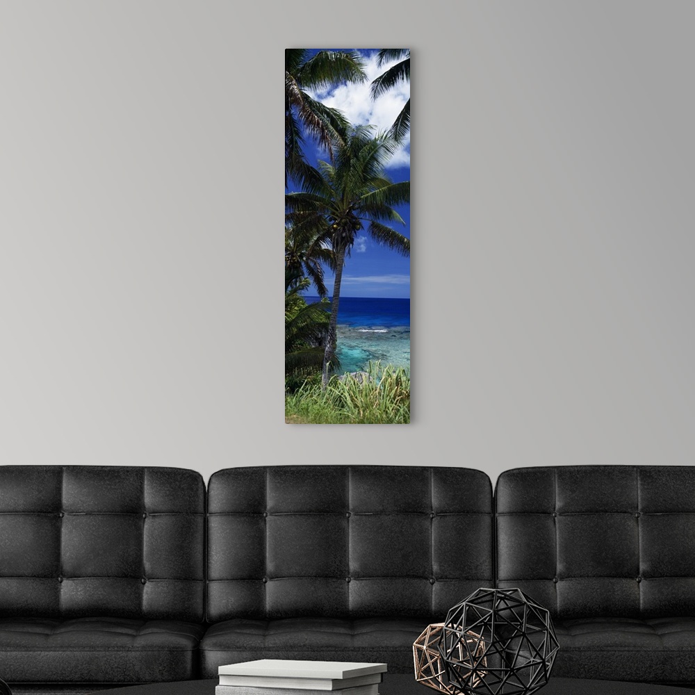 A modern room featuring Vertical panoramic photograph taken of a palm tree with a view of inviting water just below.