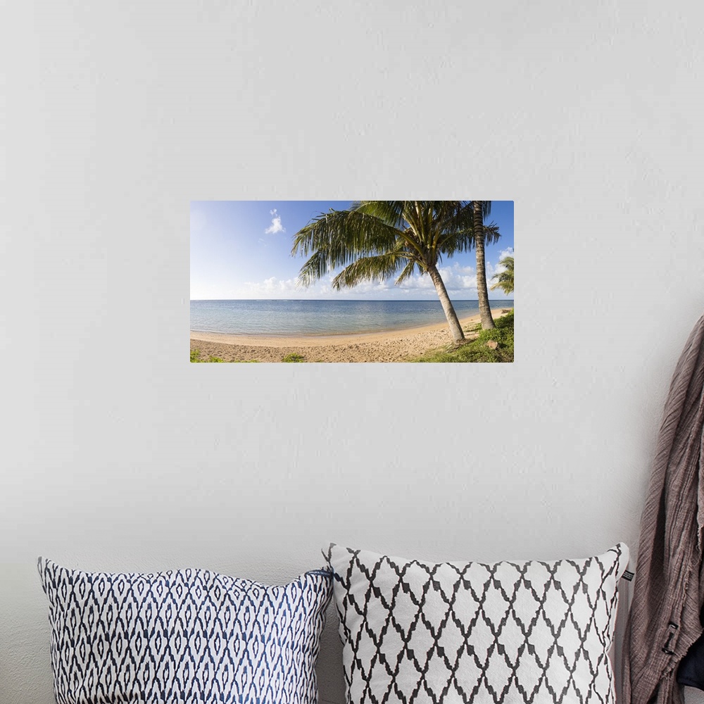A bohemian room featuring Panoramic photograph of seashore with huge trees under a cloudy sky.