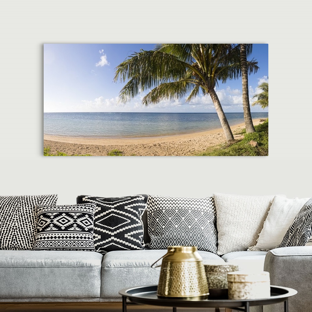 A bohemian room featuring Panoramic photograph of seashore with huge trees under a cloudy sky.
