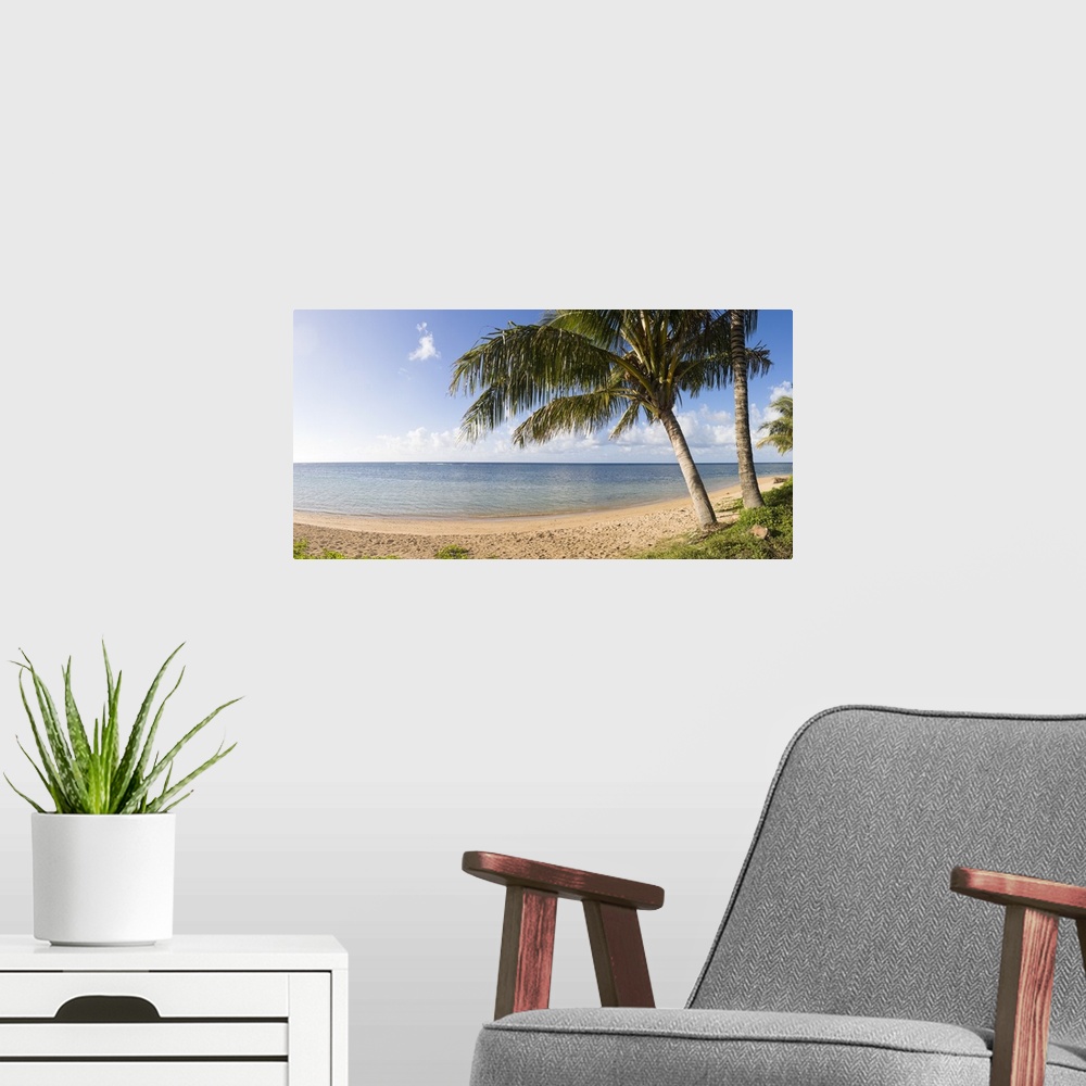 A modern room featuring Panoramic photograph of seashore with huge trees under a cloudy sky.