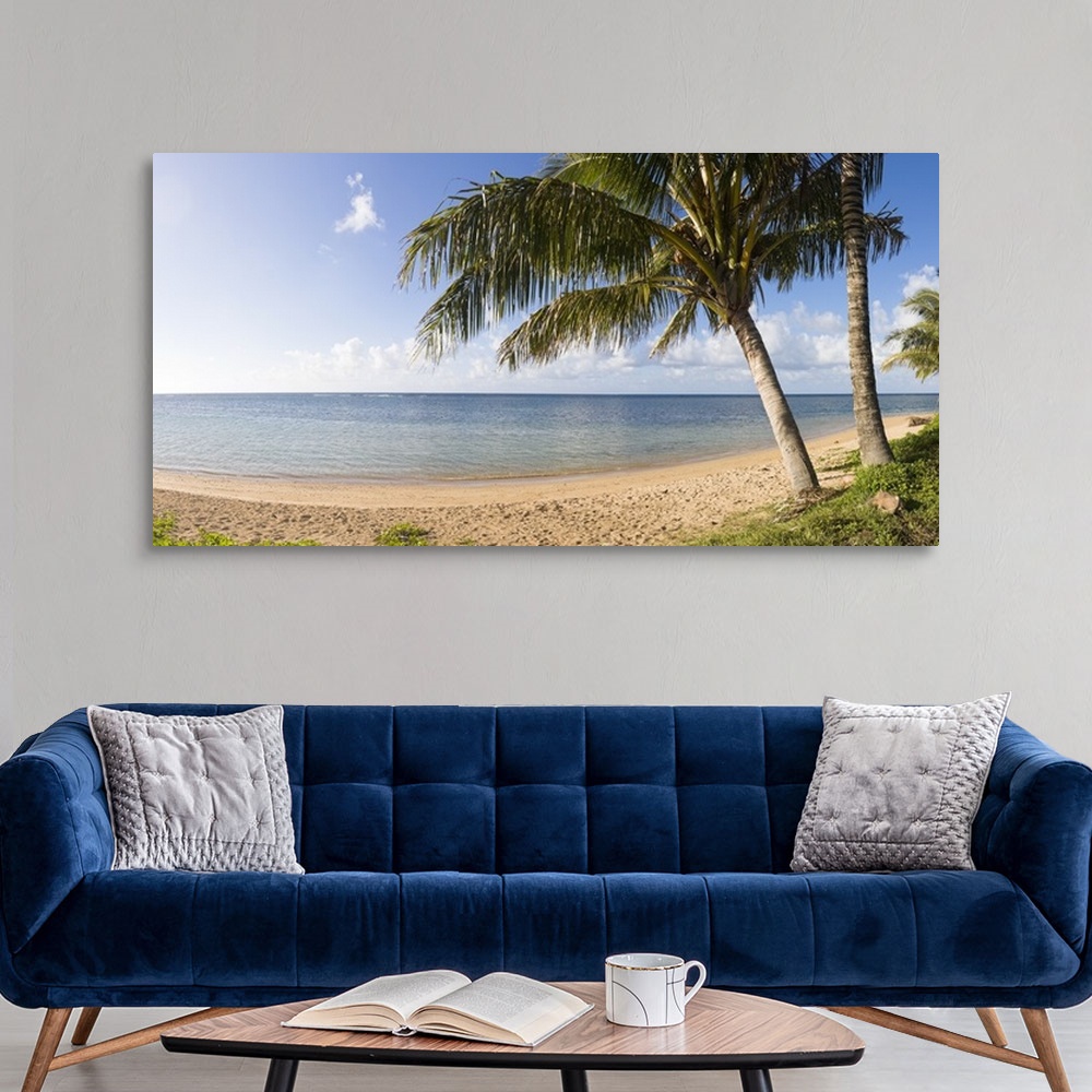 A modern room featuring Panoramic photograph of seashore with huge trees under a cloudy sky.