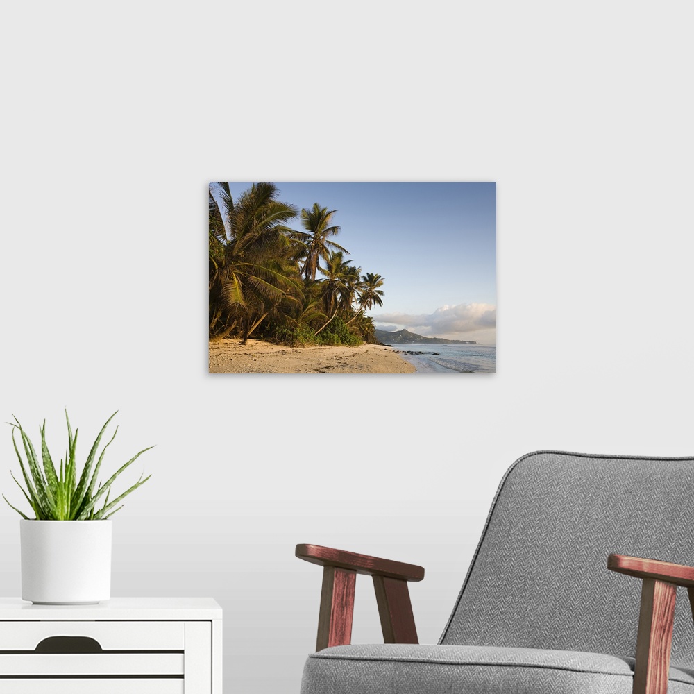 A modern room featuring Palm trees on the beach, Anse Marie Louise Beach, Mahe Island, Seychelles