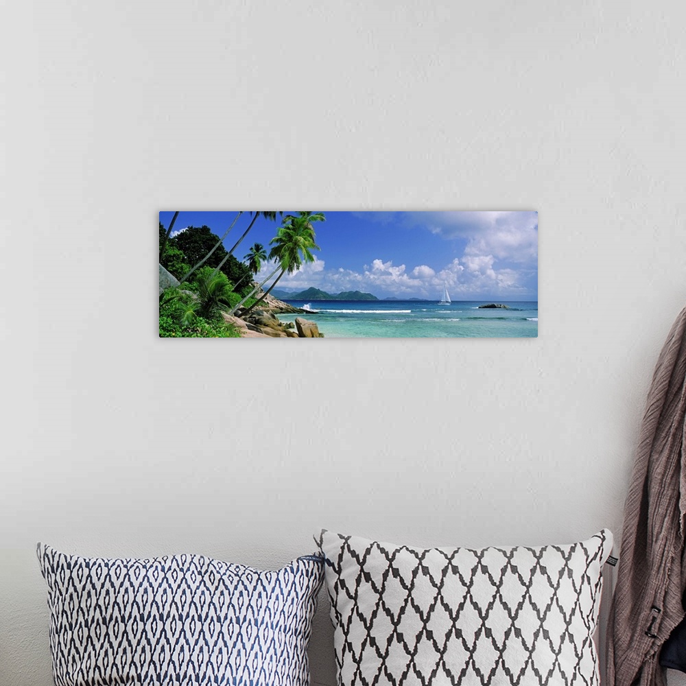A bohemian room featuring Long panoramic image of palm trees lining a beach with a sailboat sailing in the ocean.