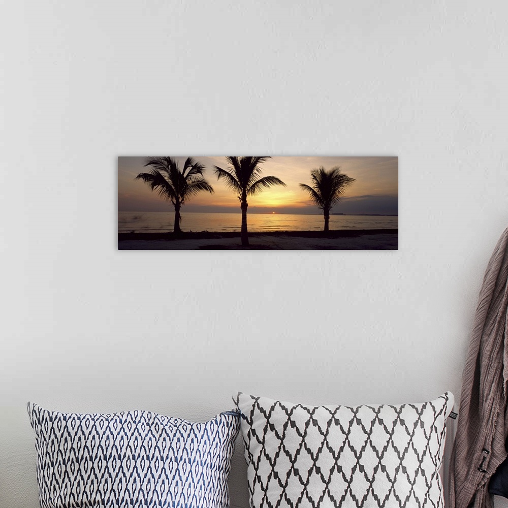 A bohemian room featuring Palm trees on the beach at dusk, Miami, Miami-Dade County, Florida