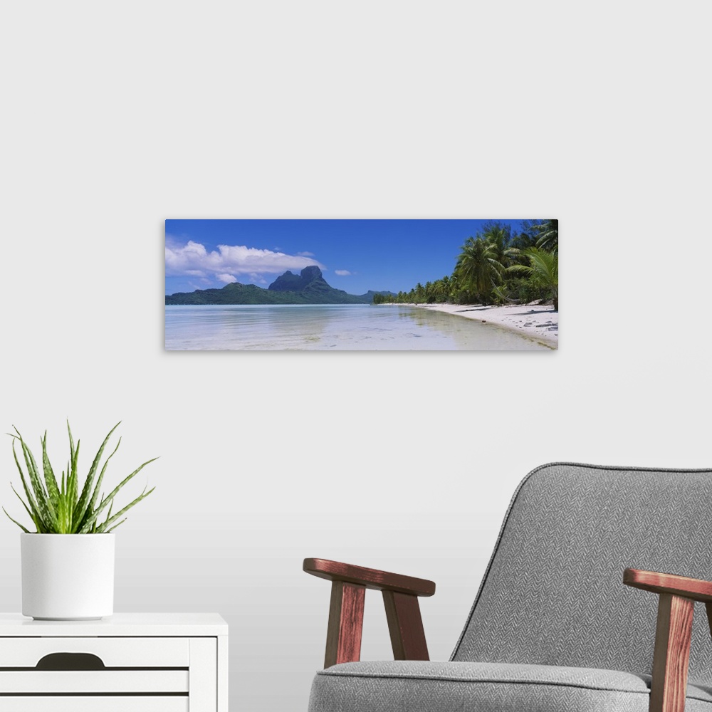 A modern room featuring A panoramic photograph of a sandy beach crowded with palm trees  and rocky jungle mountains in th...