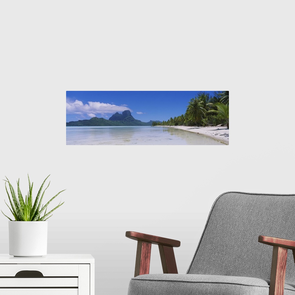 A modern room featuring A panoramic photograph of a sandy beach crowded with palm trees  and rocky jungle mountains in th...