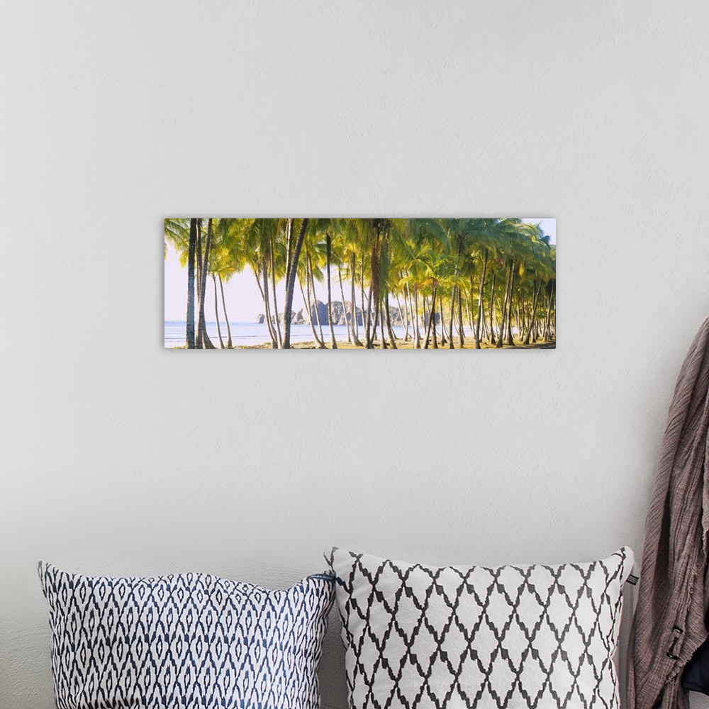 A bohemian room featuring Palm trees on the beach, Carrillo Beach, Nicoya Peninsula, Guanacaste Province, Costa Rica
