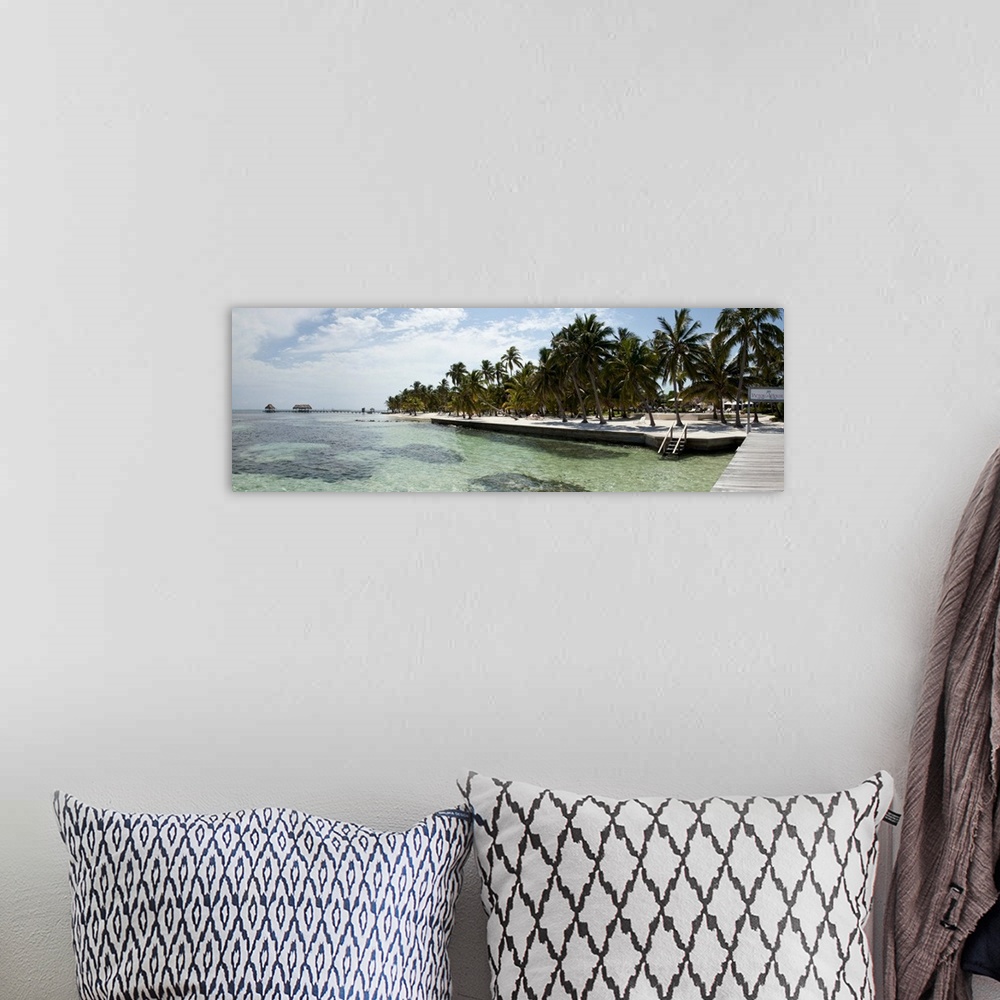 A bohemian room featuring Palm trees on the beach, Corozal District, San Pedro, Ambergris Caye, Belize