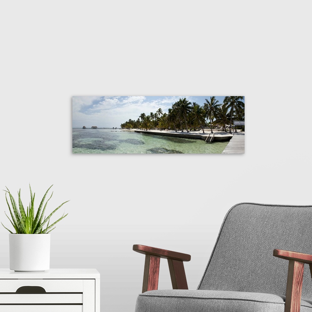 A modern room featuring Palm trees on the beach, Corozal District, San Pedro, Ambergris Caye, Belize