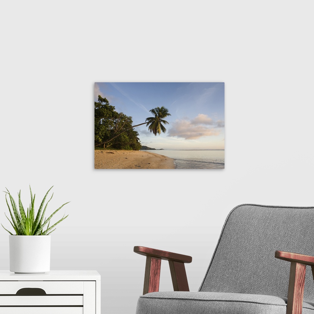 A modern room featuring Palm trees on the beach, Fairyland Beach, Mahe Island, Seychelles