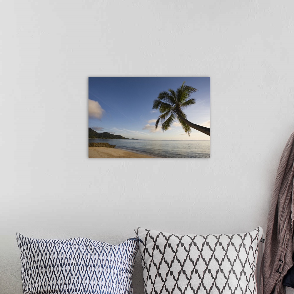 A bohemian room featuring Palm trees on the beach, Fairyland Beach, Mahe Island, Seychelles