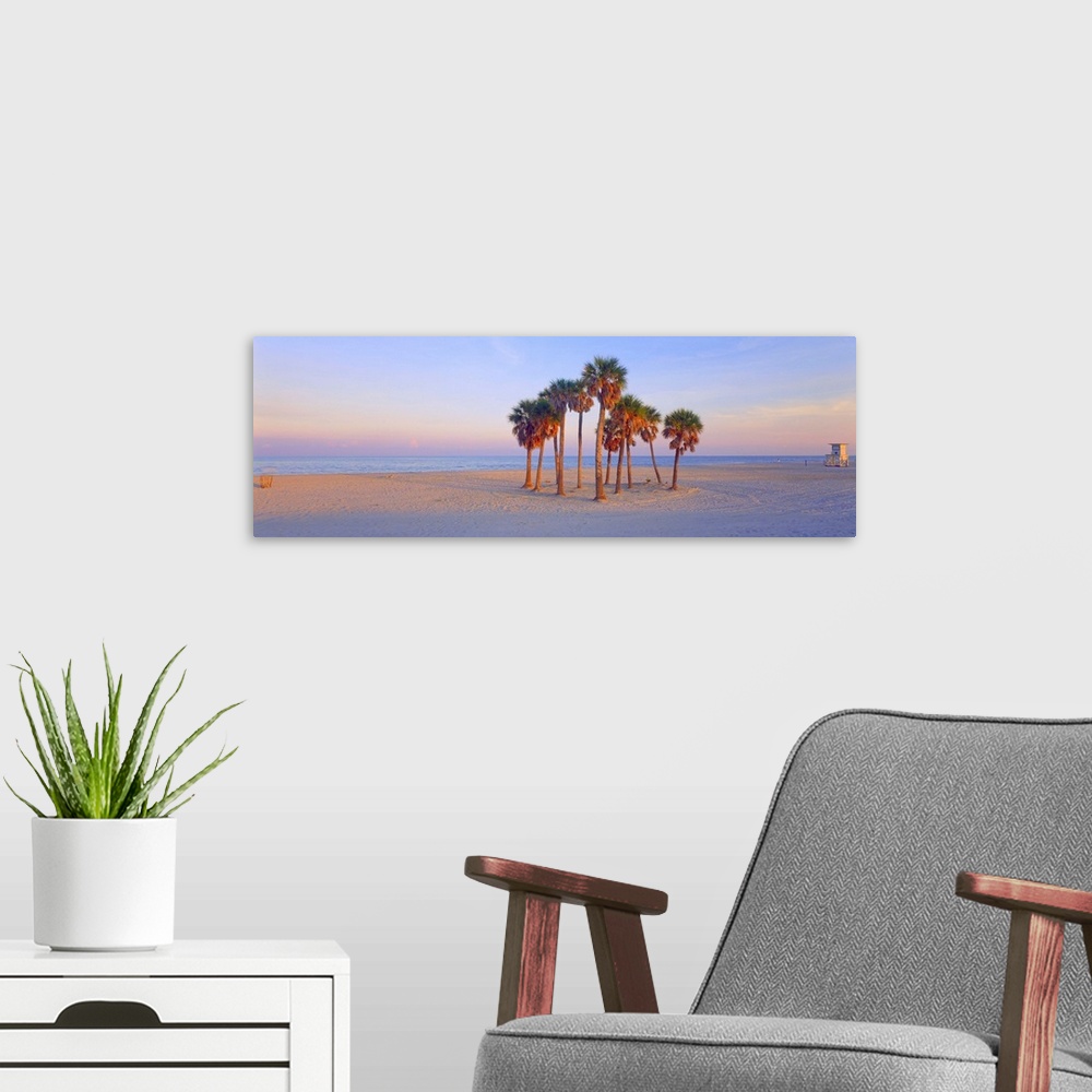 A modern room featuring Panoramic photograph of tree cluster on shoreline with ocean in distance at dusk.