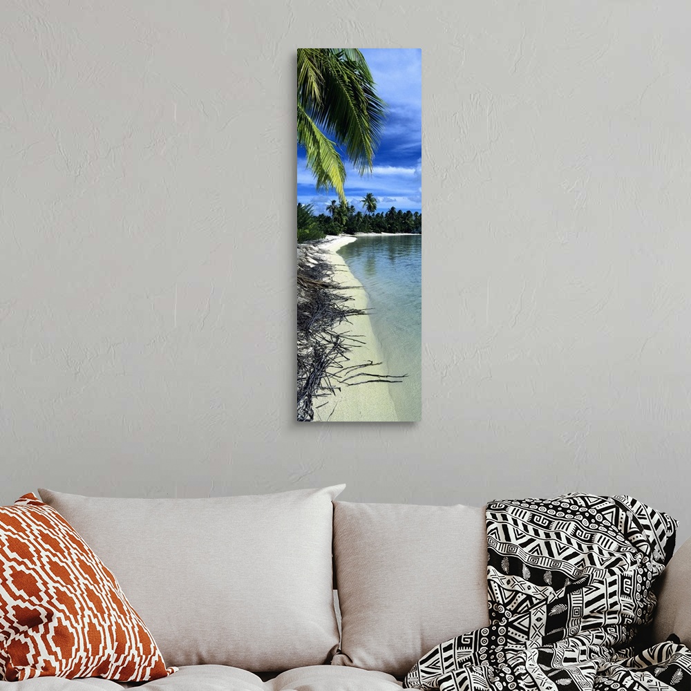 A bohemian room featuring Palm trees on the beach, French Polynesia