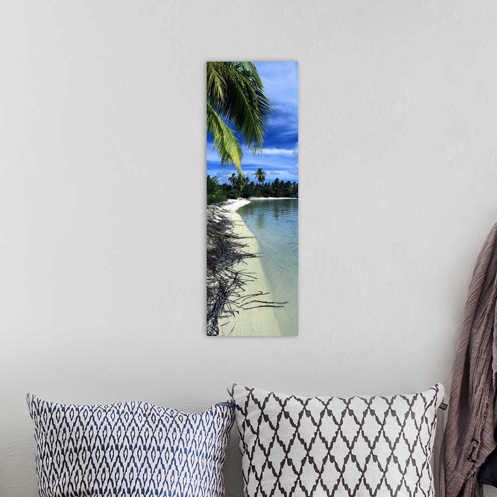 A bohemian room featuring Palm trees on the beach, French Polynesia
