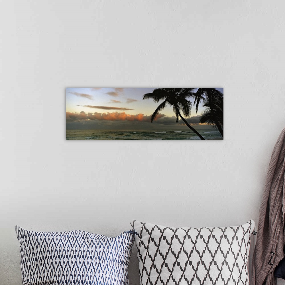 A bohemian room featuring Late afternoon photograph of a tropical seascape with silhouetted palm trees and rolling stormy c...
