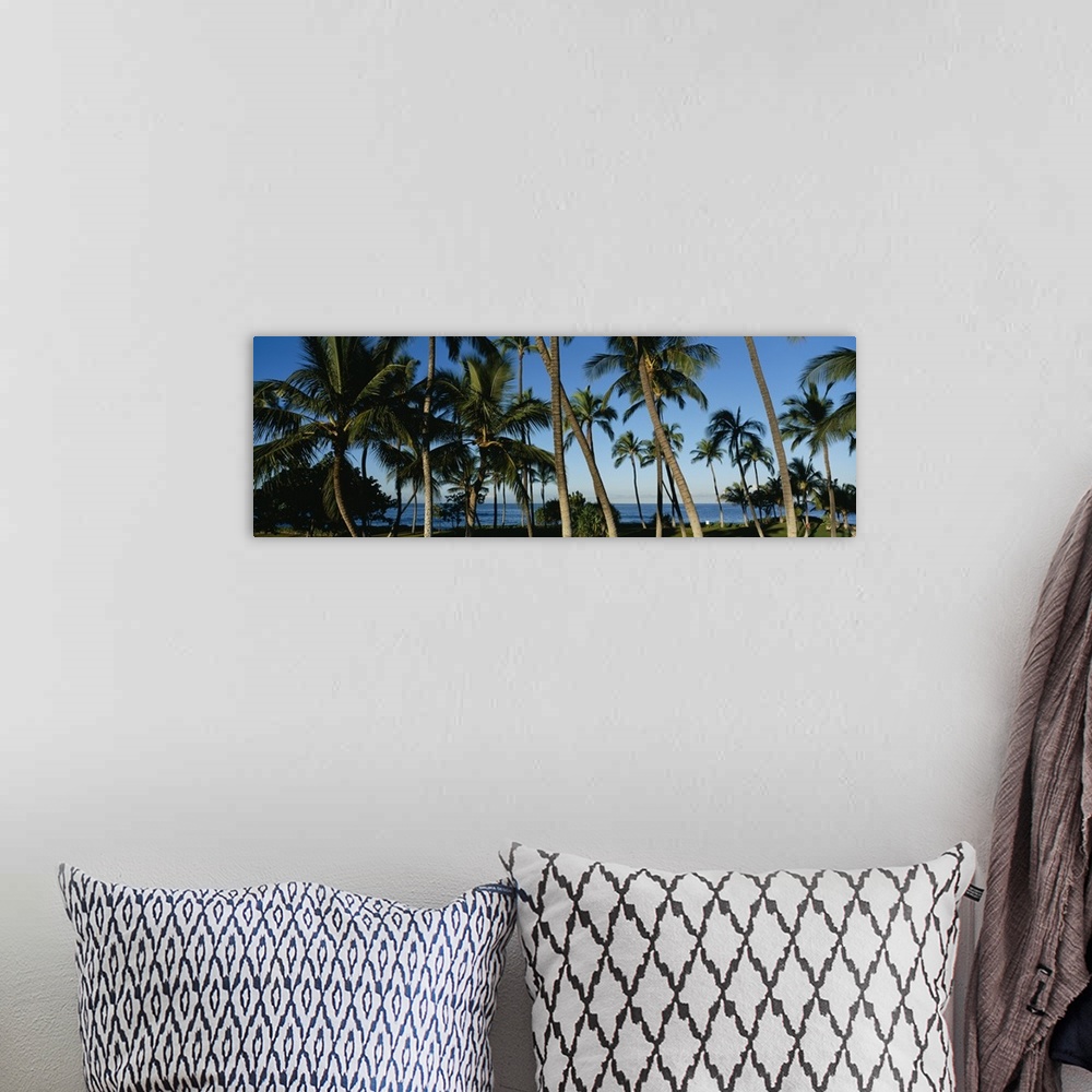 A bohemian room featuring Panoramic photo of palm trees layered in front of the Pacific Ocean.