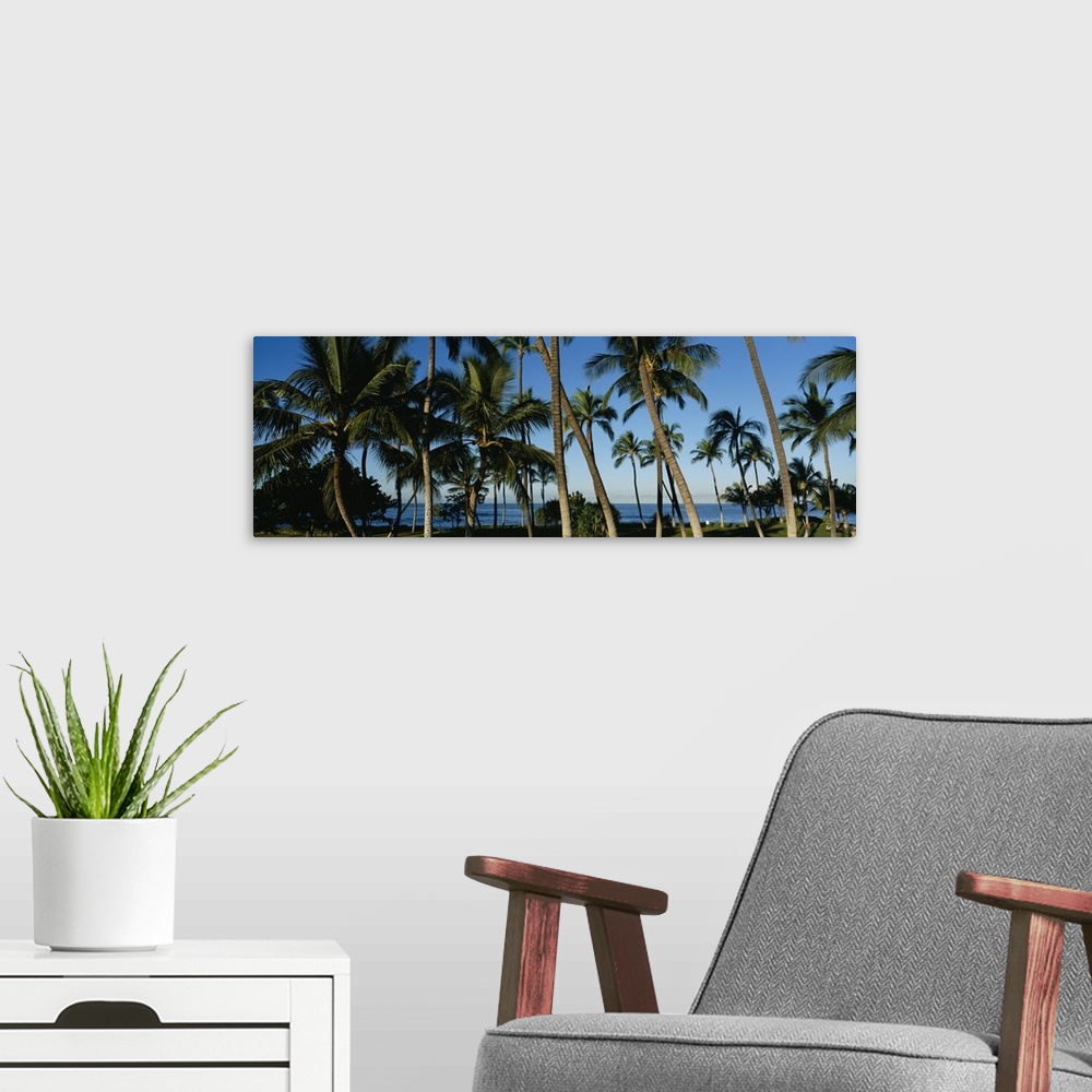 A modern room featuring Panoramic photo of palm trees layered in front of the Pacific Ocean.