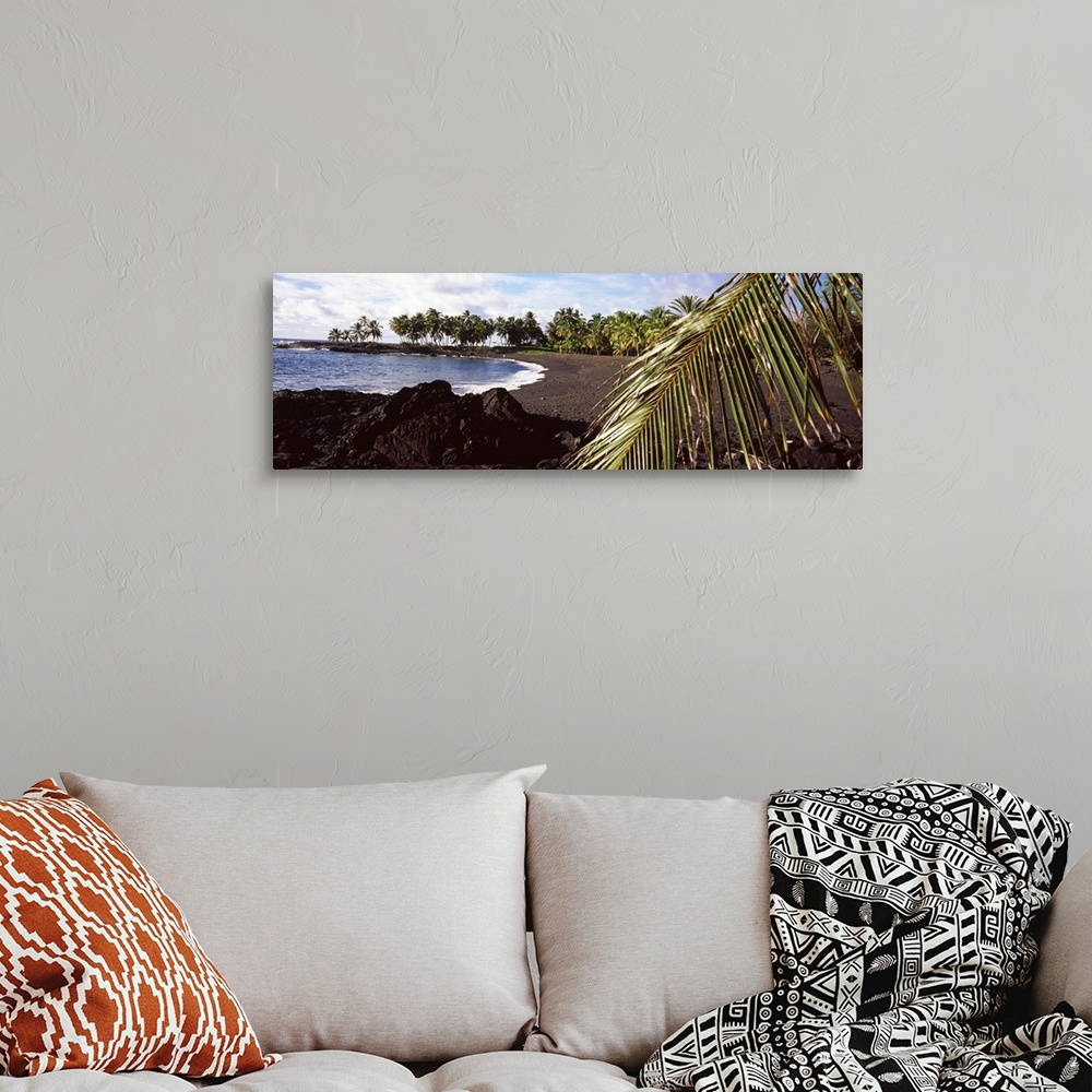 A bohemian room featuring Palm trees on the beach, Honomalino Beach, Hawaii, USA