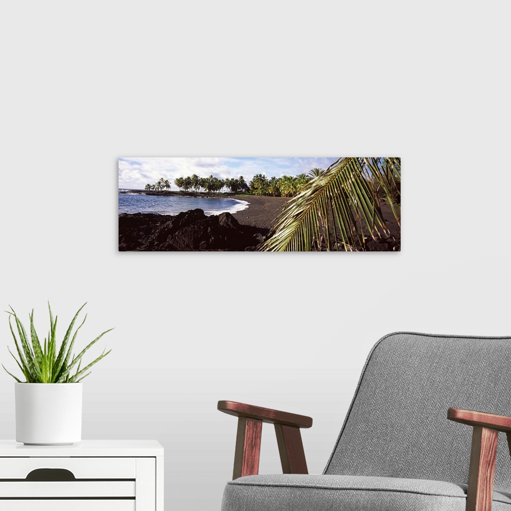 A modern room featuring Palm trees on the beach, Honomalino Beach, Hawaii, USA