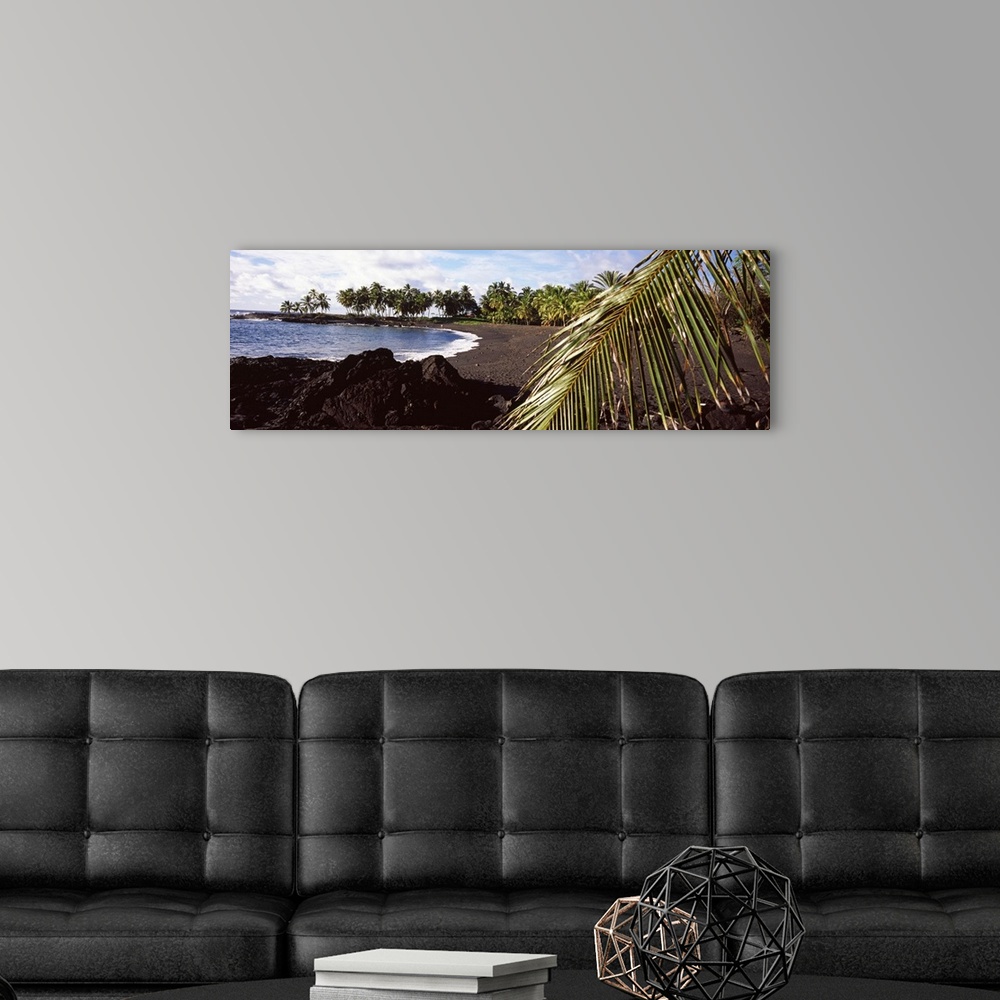 A modern room featuring Palm trees on the beach, Honomalino Beach, Hawaii, USA