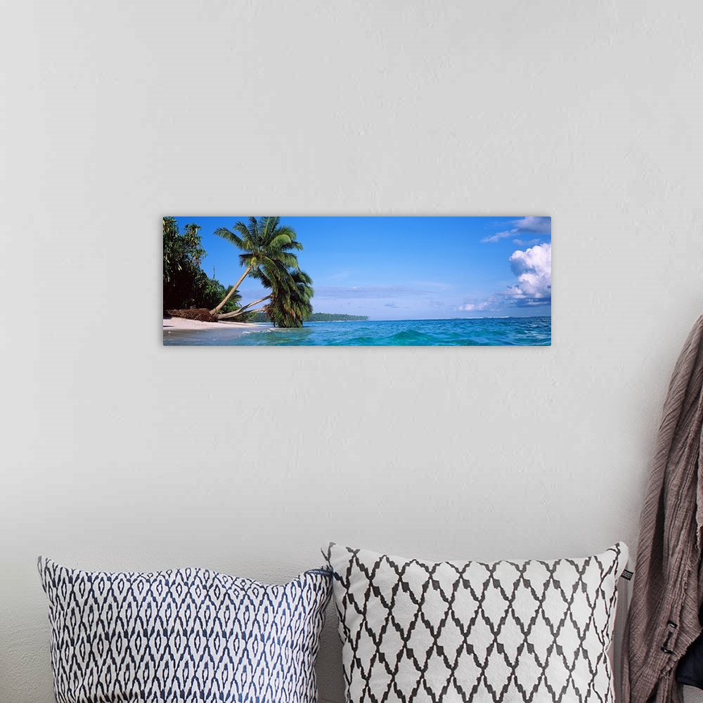 A bohemian room featuring A panoramic photograph taken of large palm trees that stretch out over the ocean water and some t...