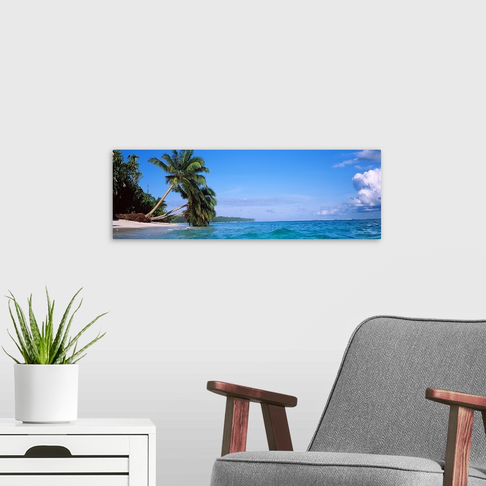 A modern room featuring A panoramic photograph taken of large palm trees that stretch out over the ocean water and some t...