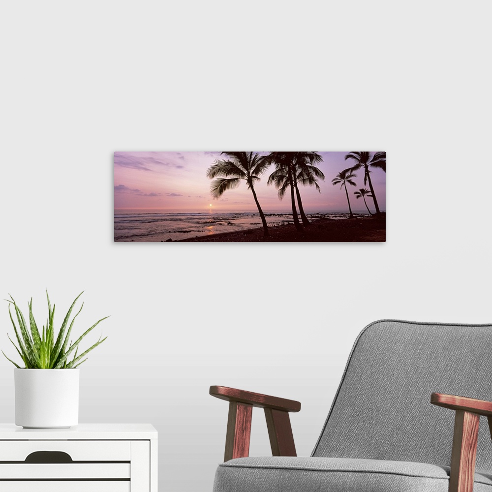A modern room featuring Tall, silhouetted trees lean over the sand and small waves in the ocean as the setting sun turns ...