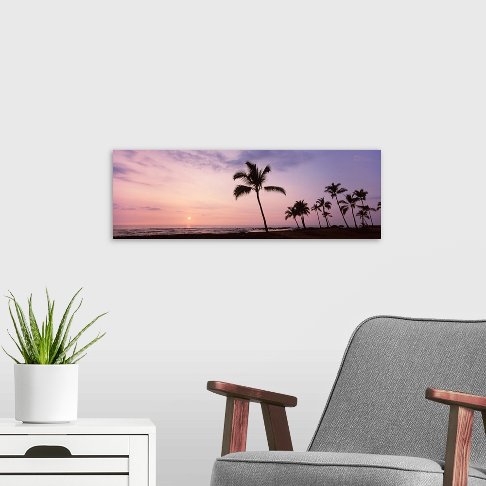 A modern room featuring Palm trees on the beach, Keauhou, South Kona, Hawaii County, Hawaii, USA
