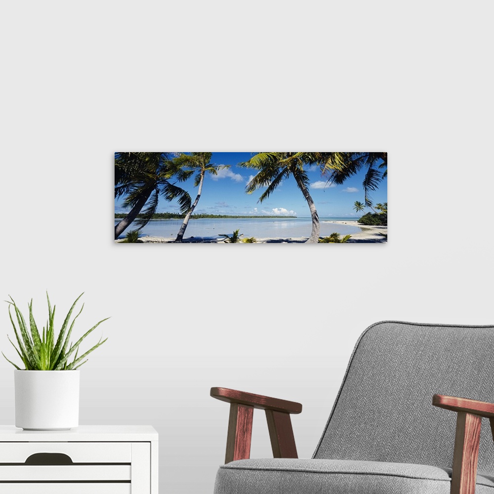 A modern room featuring Panoramic photo of palm trees blowing in the wind by the crystal clear French Polynesian waters.