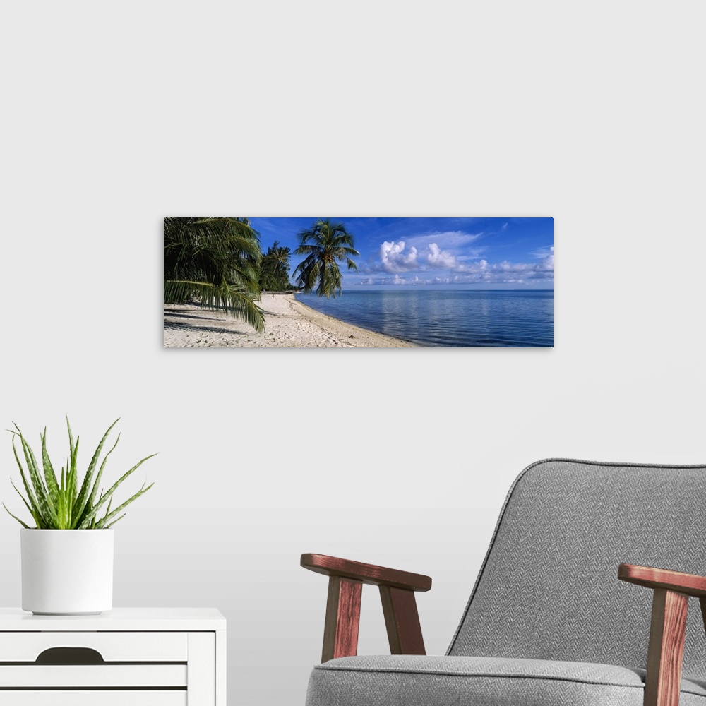 A modern room featuring Panoramic photograph shows a group of tropical vegetation hanging over a sandy coastline while th...
