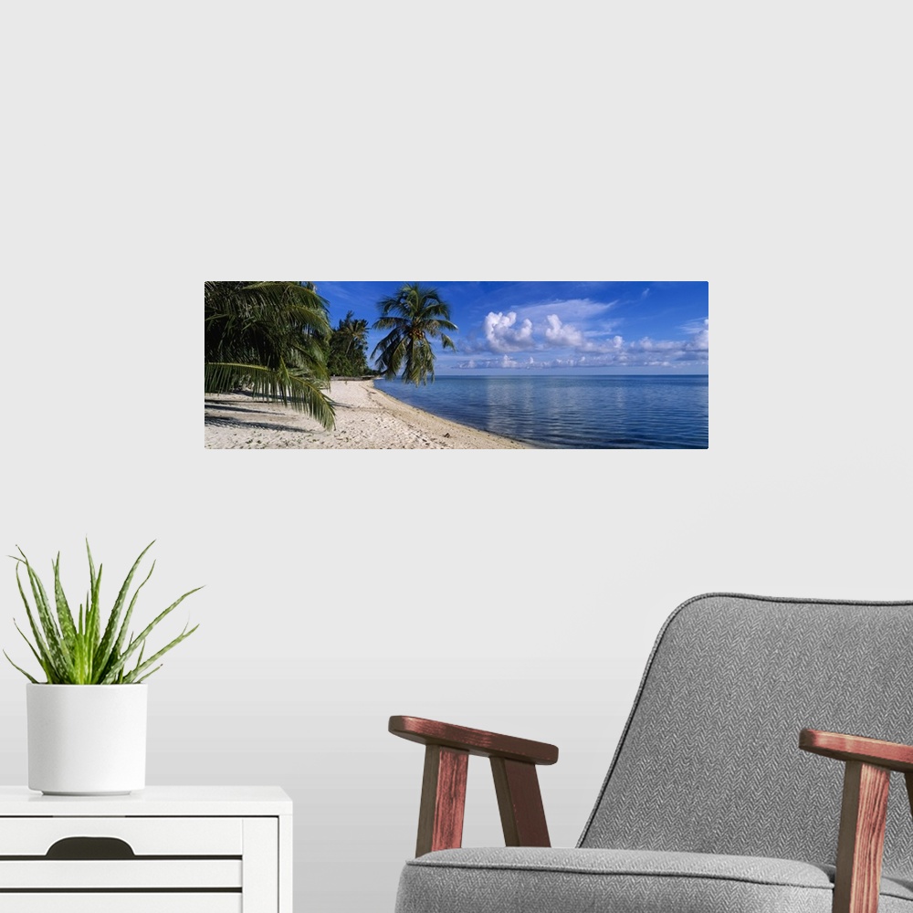 A modern room featuring Panoramic photograph shows a group of tropical vegetation hanging over a sandy coastline while th...