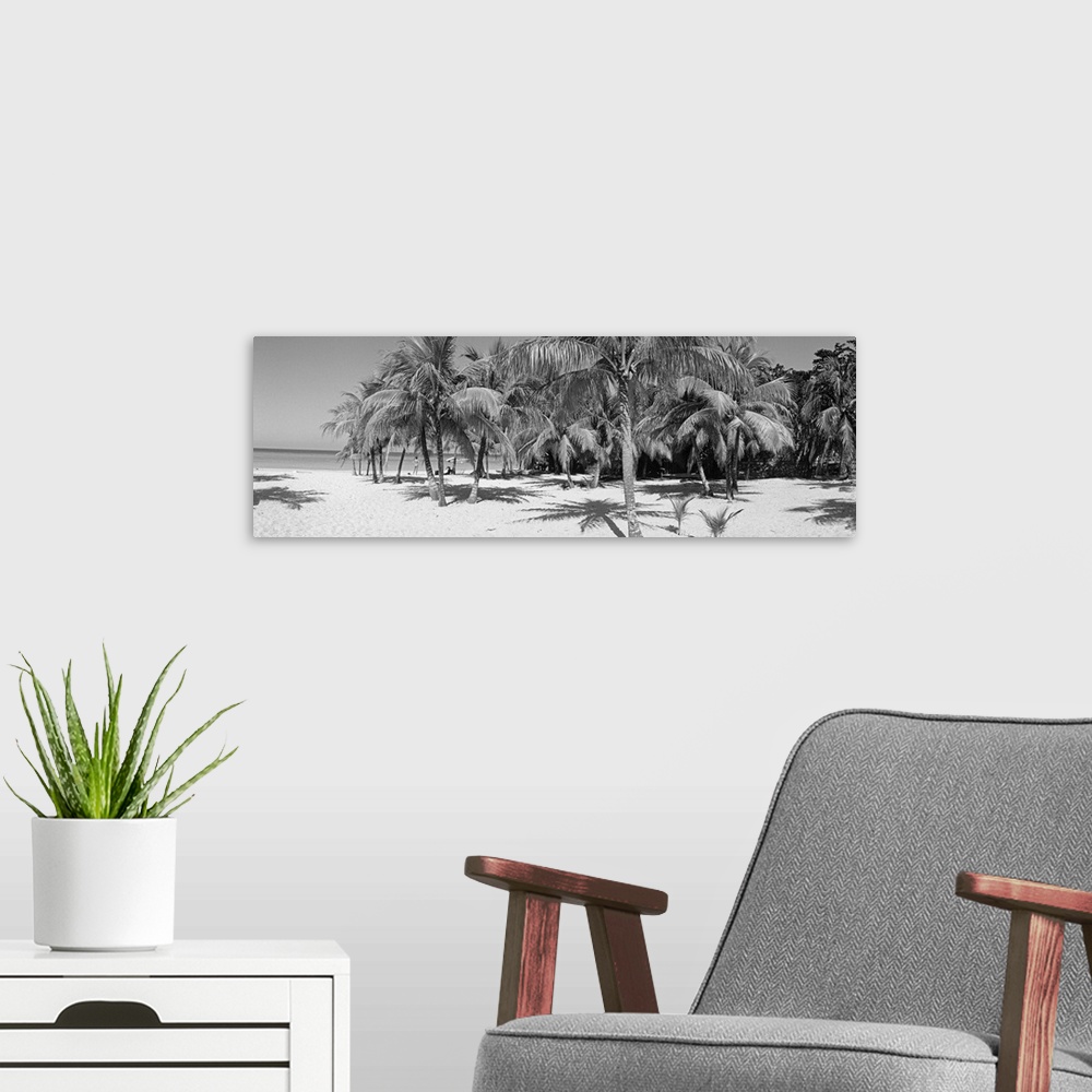 A modern room featuring Panoramic photograph of shoreline with trees under a clear sky.