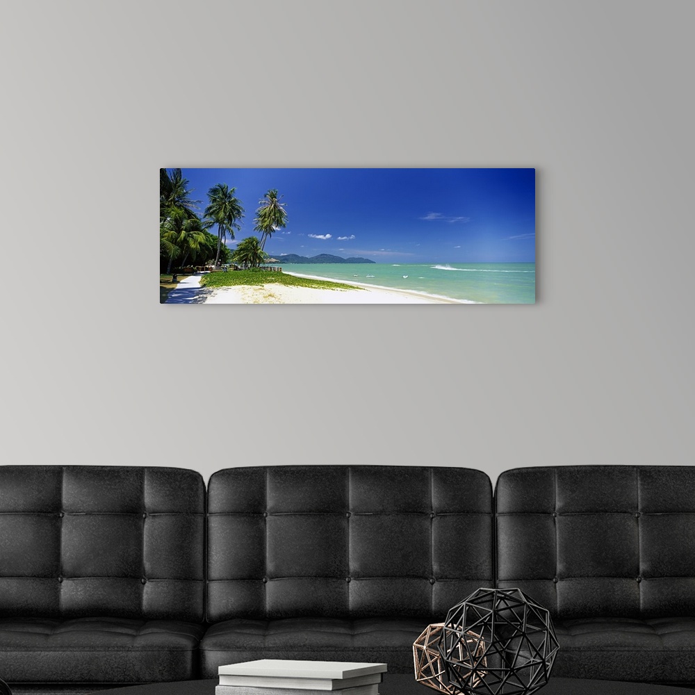 A modern room featuring Palm trees on the beach, Penang State, Malaysia