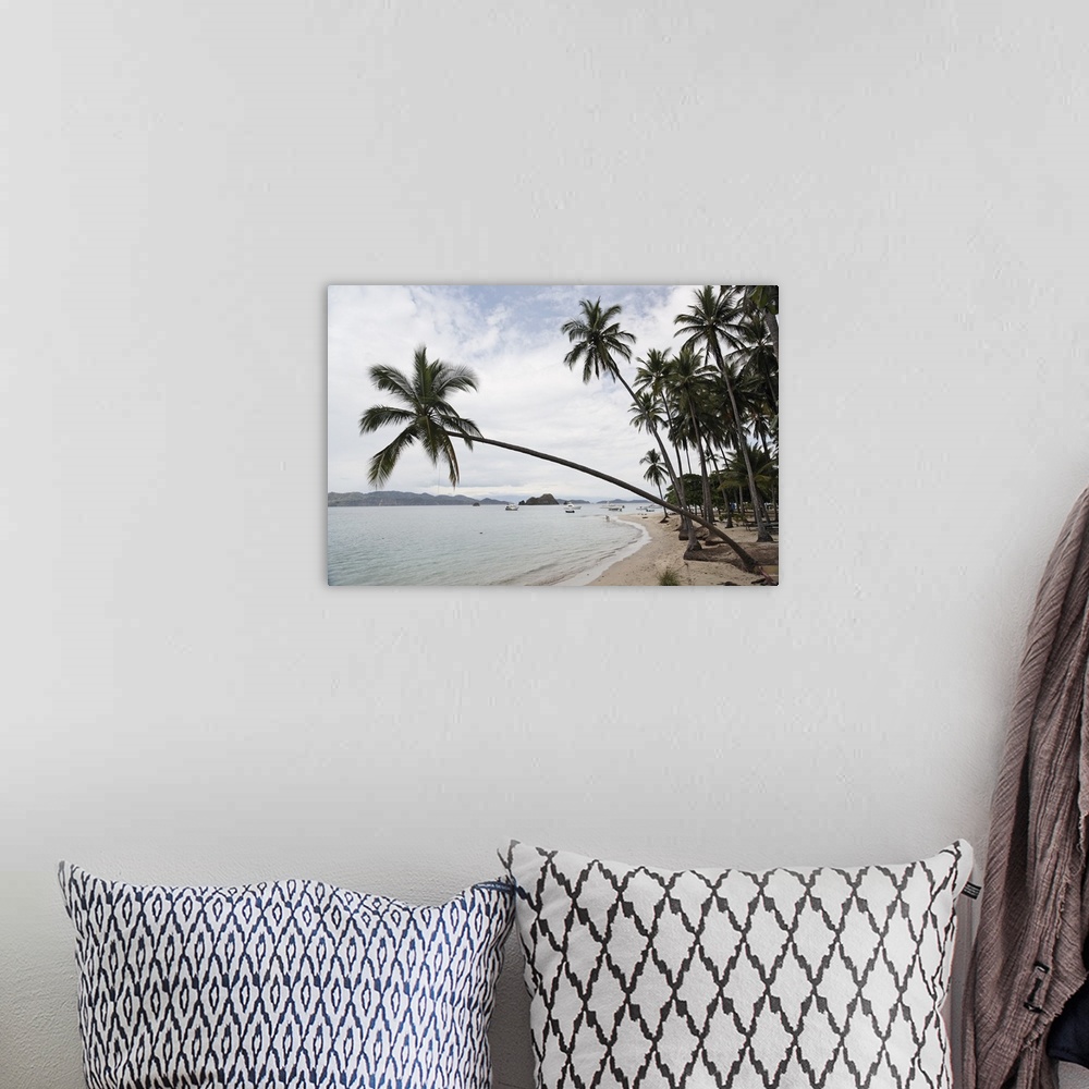 A bohemian room featuring Palm trees on the beach, Puntarenas, Puntarenas Province, Costa Rica