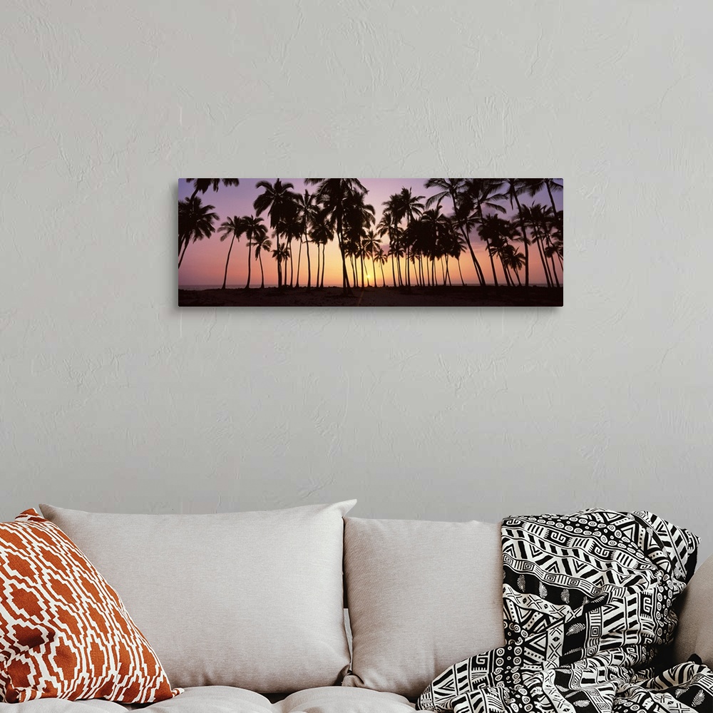 A bohemian room featuring Panoramic picture taken during sun down of palm trees that stand on a beach.