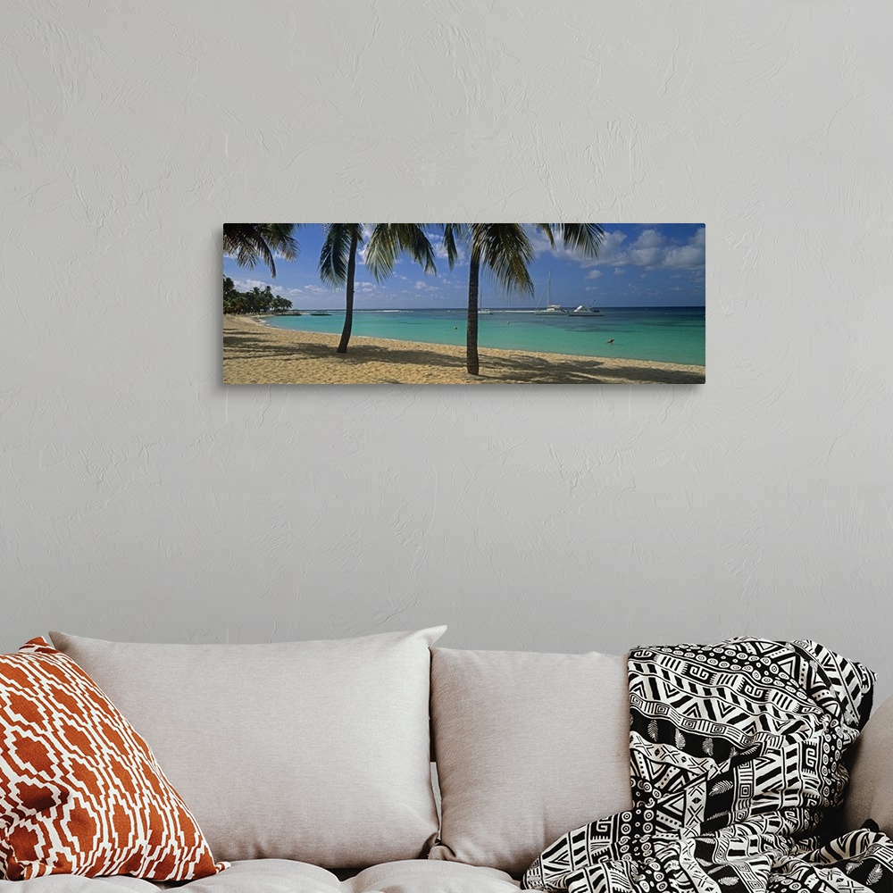 A bohemian room featuring Big, panoramic photograph of palm trees swaying over Sainte Anne Beach, crystal blue waters in th...