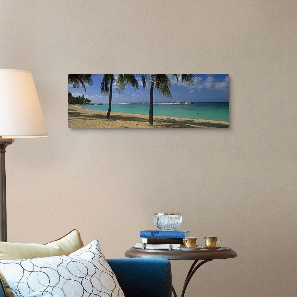 A traditional room featuring Big, panoramic photograph of palm trees swaying over Sainte Anne Beach, crystal blue waters in th...