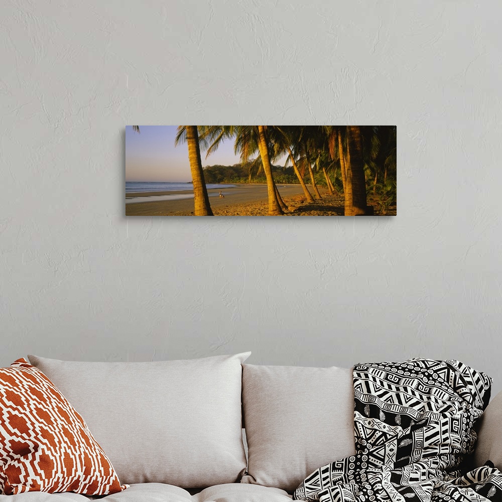 A bohemian room featuring Palm trees on the beach, Samara Beach, Guanacaste Province, Costa Rica