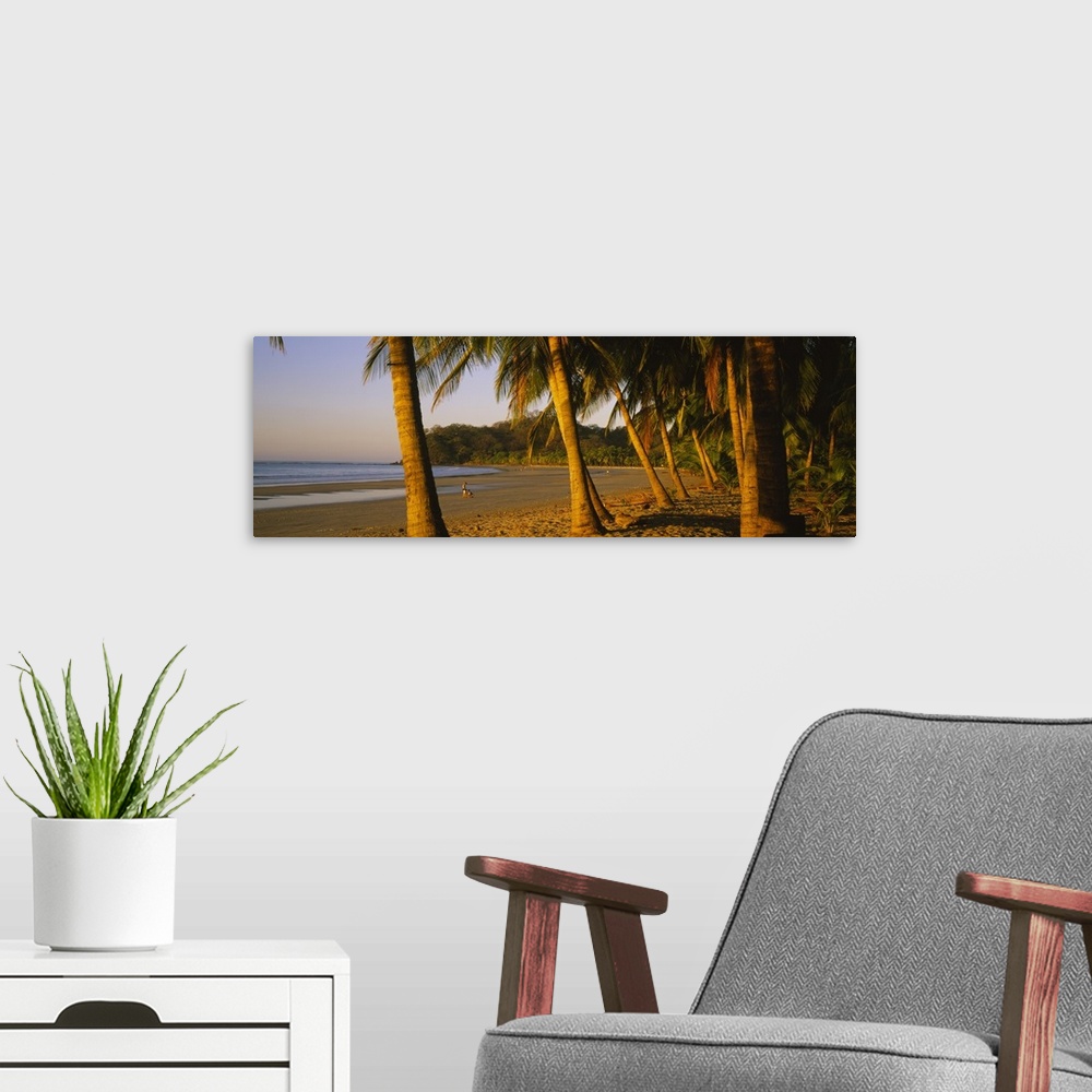 A modern room featuring Palm trees on the beach, Samara Beach, Guanacaste Province, Costa Rica